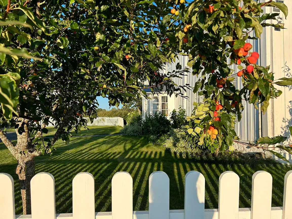 Bilde 6 fra Opstad Gård