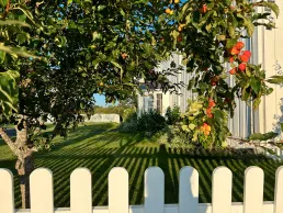 Bilde 6 fra Opstad Gård