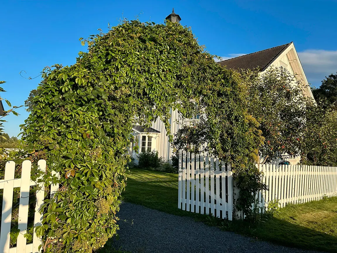 Bilde 2 fra Opstad Gård