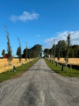 Bilde 1 fra Opstad Gård